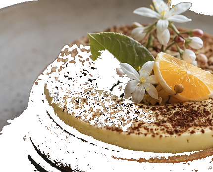 Holiday cake from orange blossom co